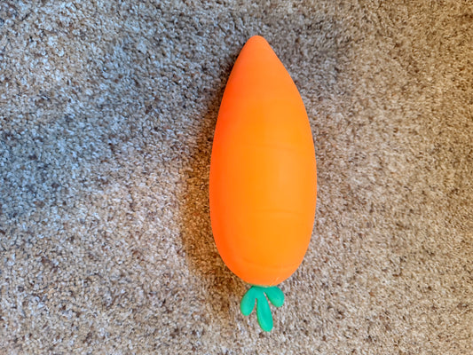 Carrot Squishy